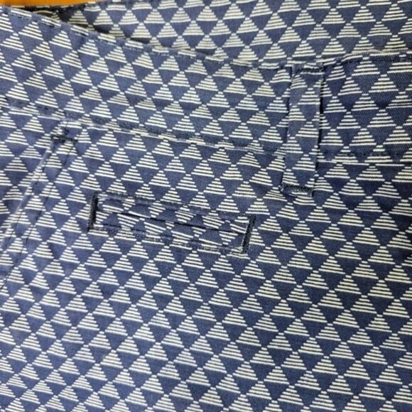 Gap Flat Front Geometric Triangle Shorts Size 10R Blue/White - Picture 3 of 9